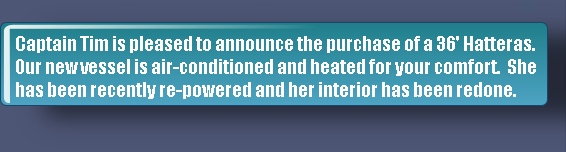 Captain Tim is pleased to announce the purchase of a 36' Hatteras.
Our new vessel is air-conditioned and heated for your comfort.  She
has been recently re-powered and her interior has been redone.